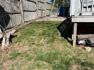 Leaf Removal by Abraham Padilla for Filiz B. in Waterbury, CT