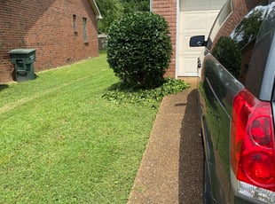 Penelope B.'s Bush Trimming service result