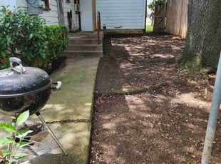 Leaf Removal by Noheli Diaz for Cristin B. in Fort Worth, TX