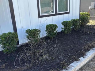 Landscaping by Josue Perez Rios for Joe W. in Hutto, TX