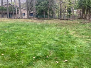 Leaf Removal by Ricky Bennett for Demond W. in Euclid, OH