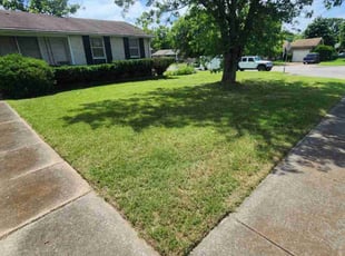 Bush Trimming by Mack Sands for David M. in Nashville, TN