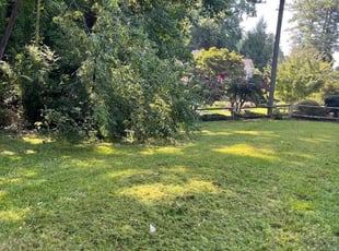 Cleanups by Yolanda Torres for Tracey T. in Marietta, GA