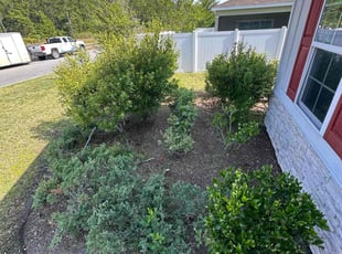 Weeding by Jeremy Faulk for Aeriell Q. in Jacksonville, FL