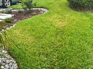 Bush Trimming by Jonathan Prieskorn for Michael G. in Land O' Lakes, FL