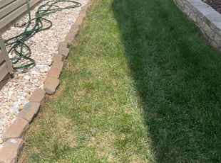 Lucy E.'s Lawn Service service result