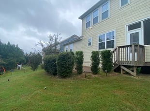 Bush Trimming by Daniel Reyes for Sainath V. in Fort Mill, SC