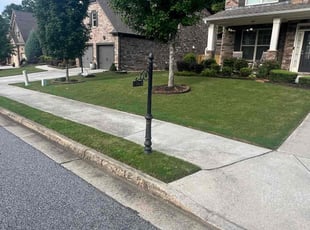Nicholas G.'s Yard Cutting service result