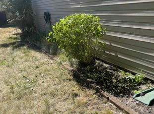 Bush Trimming by Luis Contreras for Mekisha C. in Indianapolis, IN