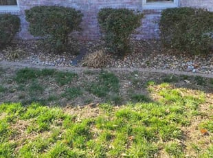 Leaf Removal by Nate Lawrence for Aaron K. in Kansas City, MO