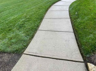 Maria V.'s Lawn Mowing service result