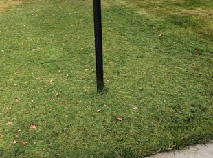 Bush Trimming by Robert Dowdy for Robert L. in Milwaukee, WI