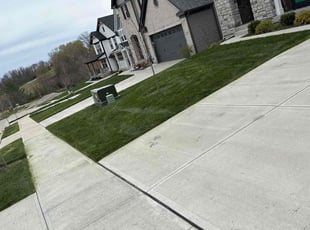 Kyla H.'s Lawn Mowing service result