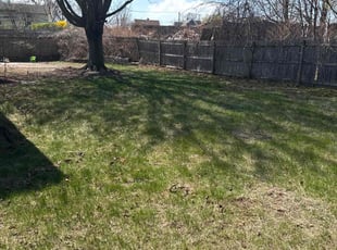 Cleanups by Harry Figueroa for Leshay H. in Chicopee, MA