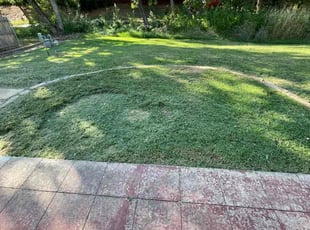 Weeding by Ashton Butler for Patrick G. in Oklahoma City, OK