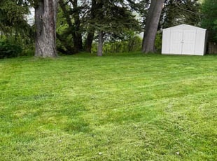 Alan S.'s Lawn Mowing service result