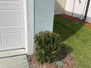 Bush Trimming by Ramon Taguja for Dustin L. in Lakeland, FL
