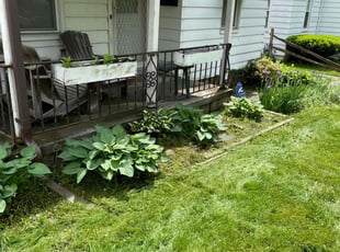Weeding by Kenneth Lagger for Roy B. in Toledo, OH