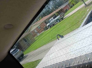 Gabrielle W.'s Lawn Mowing Service service result