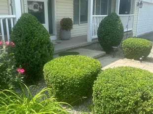 Bush Trimming by Homecare & Lawncare for Caleb C. in Rochester, NY