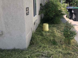 Fred B.'s Bush Trimming service result