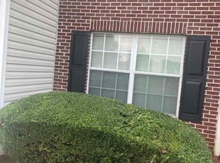 Kimberly C.'s Bush Trimming service result