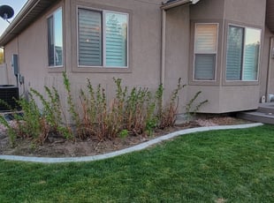 Cleanups by Bryan Medlyn for Sarah W. in Cedar Hills, UT