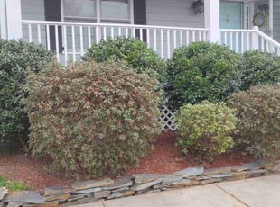 Cleanups by Jeff Gillespy for Cristina B. in Apex, NC