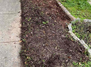 Weeding by Jason Scott for Amber C. in Gaithersburg, MD