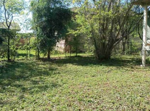 Leaf Removal by Jason Salazar for Clare W. in San Antonio, TX
