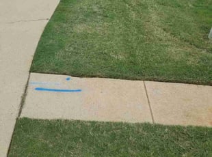 Nichole O.'s Lawn Mowing service result