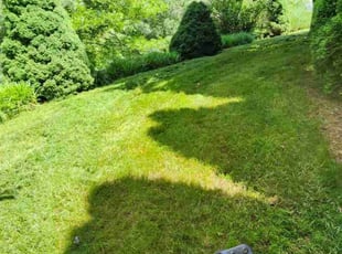Ken M.'s Lawn Service service result
