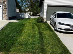 Weeding by Daniel Bunch for Ricardo R. in Hilliard, OH