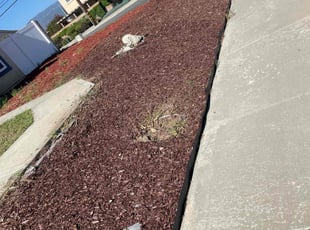 Weeding by Carlos Reyna for Marie T. in Rialto, CA