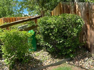 Bush Trimming by Jonathan Nguyen for Bob P. in Centennial, CO