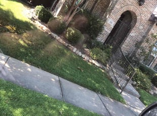 Clinton P.'s Lawn Mowing service result