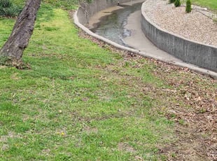 Cleanups by Steven J. Smith for Brittany B. in Lenexa, KS