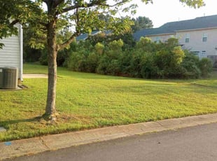 Cliff V.'s Lawn Maintenance service result