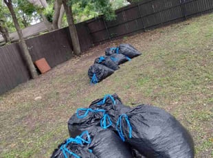 Leaf Removal by John Brown for Anusarika P. in McKinney, TX