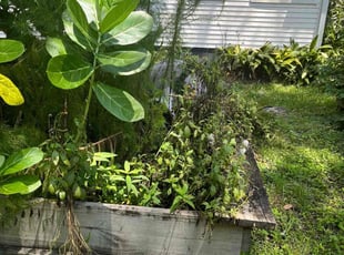 Cleanups by robbyn rolack for Mary S. in Jacksonville, FL