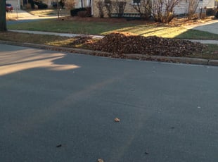 Leaf Removal by Kevin Rhyne for Edward K. in Madison, WI