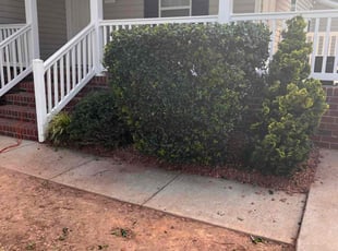 Bush Trimming by Brandon Cain for Michael A. in Winston-Salem, NC