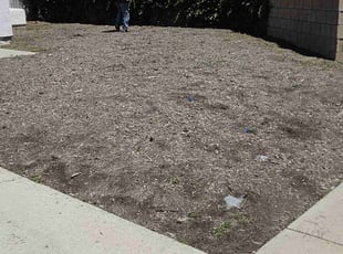 Weeding by Aristeo Valladares for Bebob F. in Moreno Valley, CA