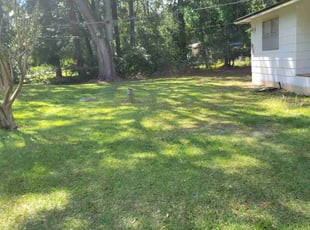 Julie L.'s Lawn Mowing service result