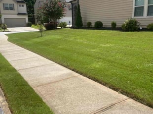 Reginald O.'s Lawn Mowing service result