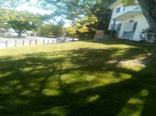 Sara M.'s Lawn Care service result