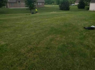 Cleanups by Frank Koller for Ben C. in Indianapolis, IN