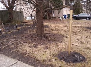 Cleanups by David Walton for Deanna M. in Powell, OH