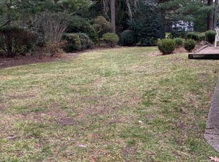 Leaf Removal by Kevin Spence for Shiyi L. in Ridgewood, NJ