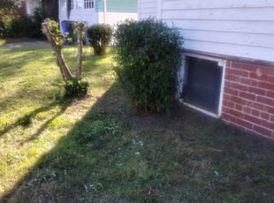 Bush Trimming by Phillipe Fentress for Danielle M. in Norfolk, VA